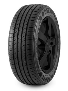 Davanti 195/55 R20 Dx390 95h Xl Tl Gumiabroncs