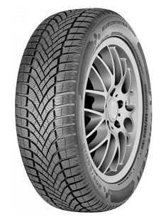 Falken 205/65 R16 95h Eurowinter Hs02 Gumiabroncs